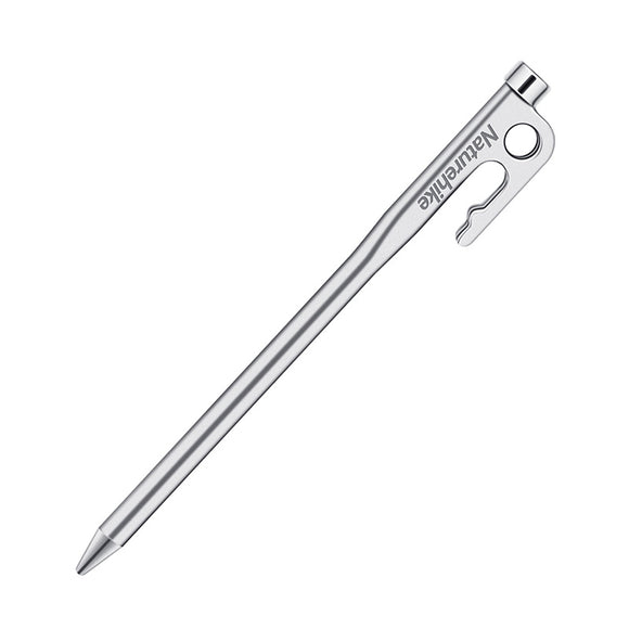 Stainless Steel Ground Nail 